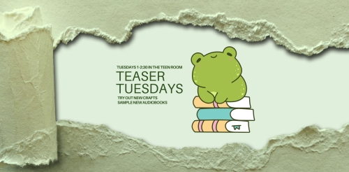 illustration of frog sitting on books